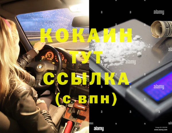 ПСИЛОЦИБИНОВЫЕ ГРИБЫ Новокубанск