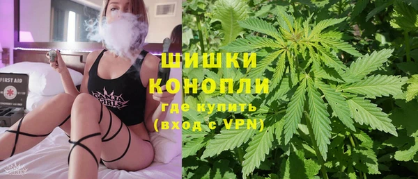 метадон Новодвинск