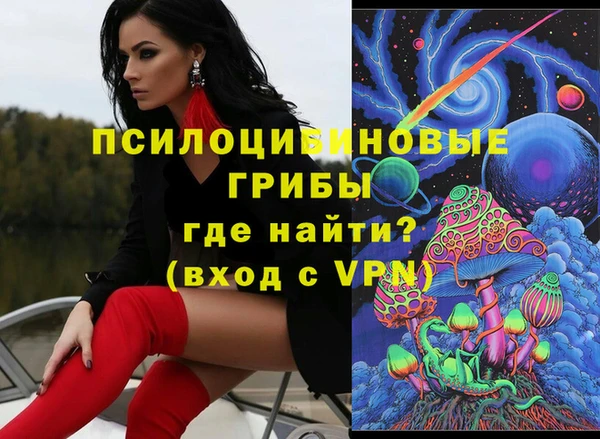 метадон Новодвинск