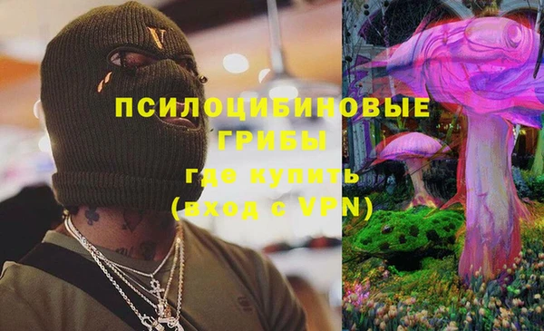 ПСИЛОЦИБИНОВЫЕ ГРИБЫ Новокубанск