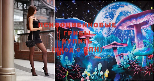 метадон Новодвинск