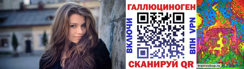 Галлюциногенные грибы Psilocybe  Кадников 